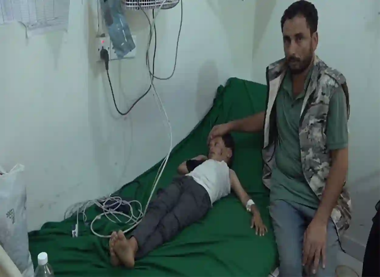 سكان في تعز يطالبون الحكومة باتخاذ إجراءات عاجلة لمكافحة انتشار الكلاب الضالة